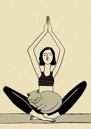 Peaceful Yoga Cat Nature reproduction