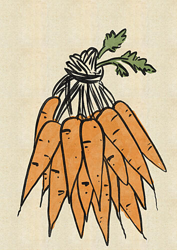 Rustic Carrot Bunch Alimentation reproduction