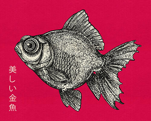 Elegant Black Goldfish Art Print by Nicholas