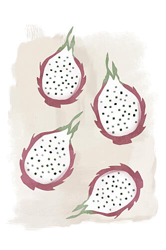 Fresh Dragon Fruits Alimentation reproduction