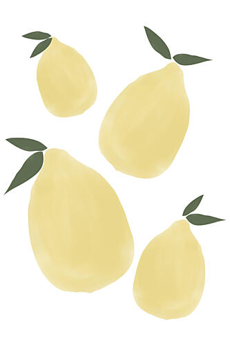 Fresh Yellow Pears Alimentation reproduction