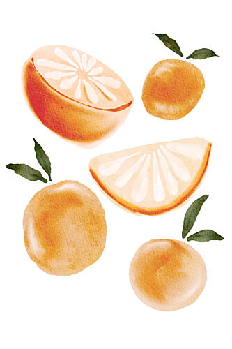 Fresh Watercolor Oranges Alimentation reproduction