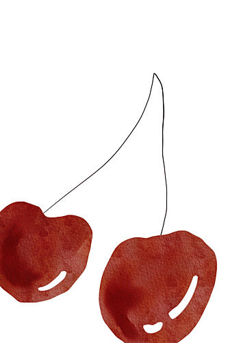 Two Cherries Alimentation reproduction