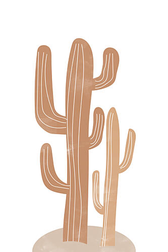 Warm Desert Cacti Nature reproduction