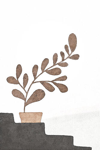 Earthy Plant Steps Nature reproduction