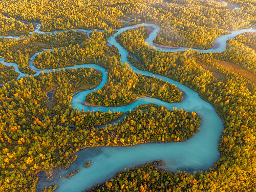 Winding River Autumn Forest Art Print by Julien Propper