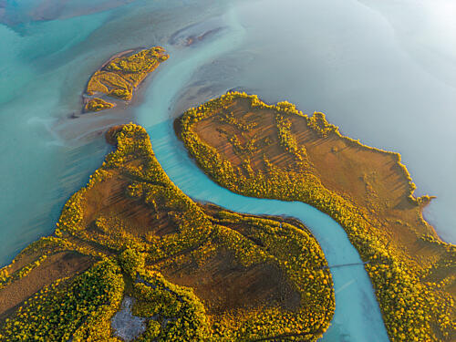 Winding River Delta Art Print by Julien Propper
