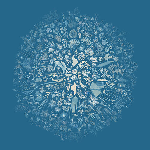 Oceanic Botanical Mandala Océan reproduction