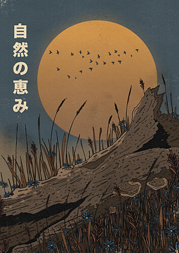 Serene Golden Hour Field Toile murale reproduction