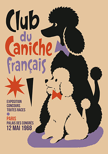 Elegant French Poodles Art Print