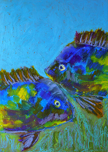 Vibrant Tropical Fish Océan reproduction