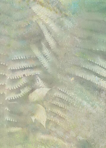 Ethereal Green Ferns Art Print by Maira Ribena
