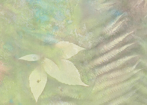 Ethereal Green Foliage Art Print by Maira Ribena