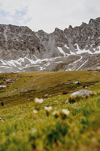 Alpine Mountain Meadow Montagne reproduction