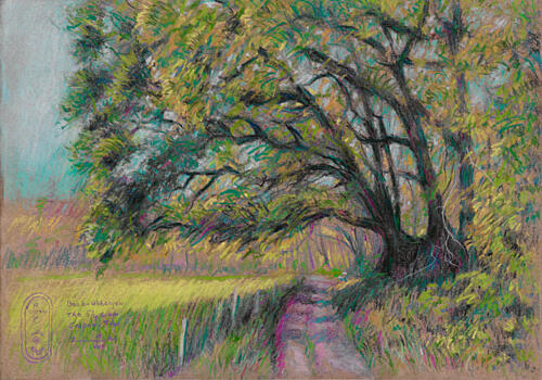 Winding Country Path Art Print