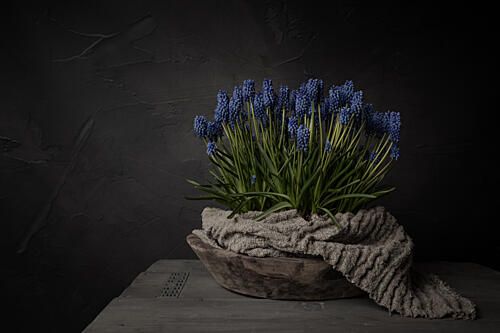 Rustic Blue Flowers Art Print