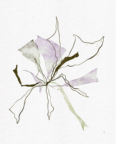 Ethereal Seaweed Botany Art Print