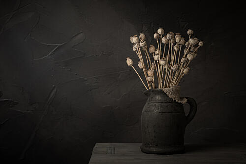 Dark Poppy Pod Still Life Pop art reproduction