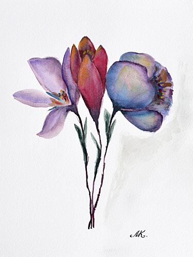 Colorful Watercolor Blooms Art Print