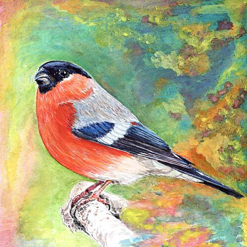Vibrant Bullfinch Bird Art Print