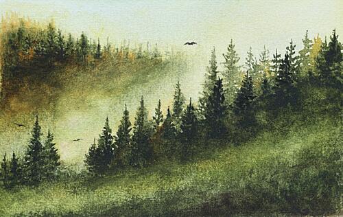 Misty Evergreen Forest Art Print
