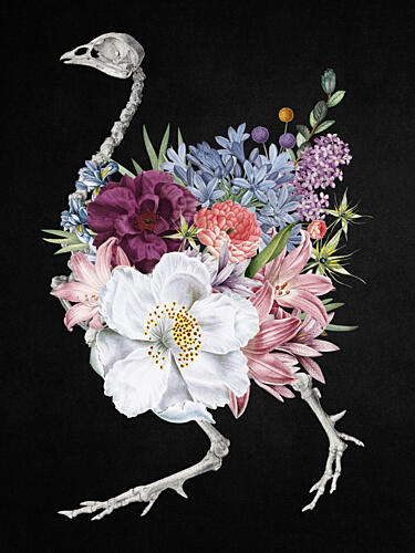 Blooming Skeleton Bird Art Print