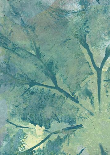 Abstract Forest Branches Art Print