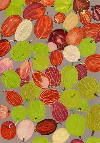 Colorful Gooseberries Art Print