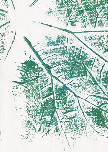 Green Leaf Print Art Print