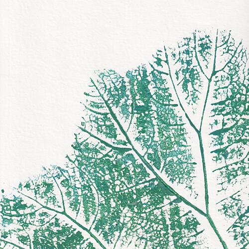 Botanical Leaf Print Art Print