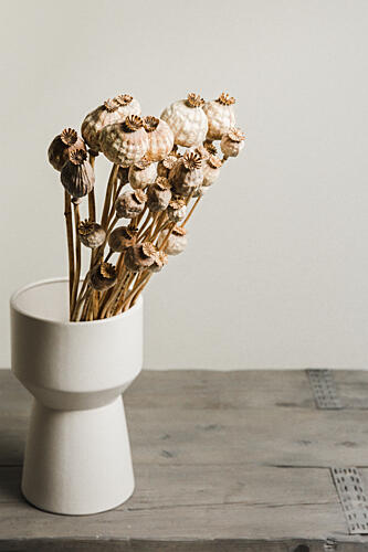 Natural Poppy Pods Vase Pop art reproduction