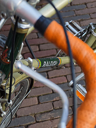Vintage Green Bicycle Art Print