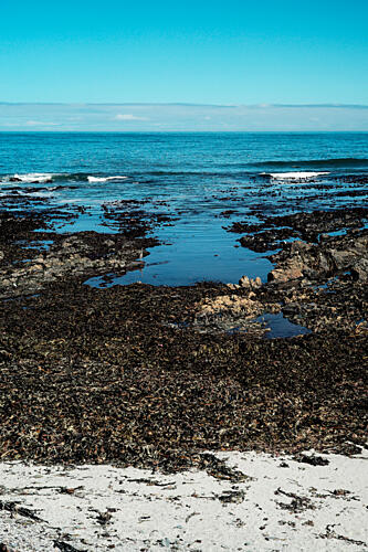 Coastal Tide Pools Art Print