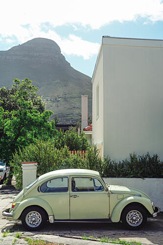 Cape Town Beetle Mountain Art Print