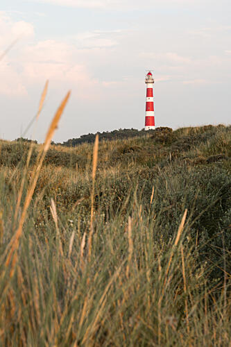 Dune Landscape and Lighthouse Art Print