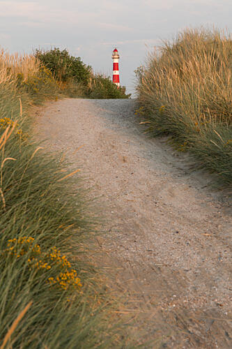 Path Through Dune Landscape to Lighthouse Art Print