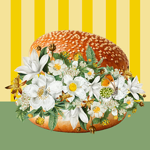 Flowering Sesame Bun Art Print