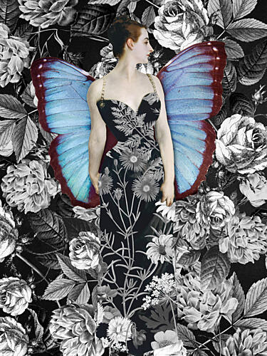 Elegant Floral Butterfly Art Print
