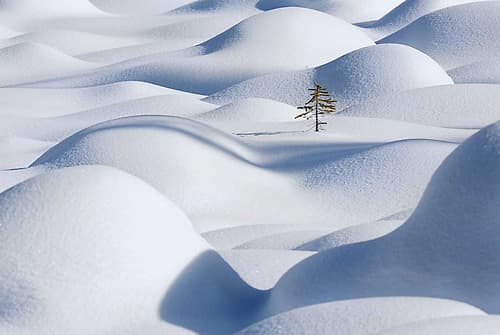 Standing In The Waves Art Print by Richard Liu