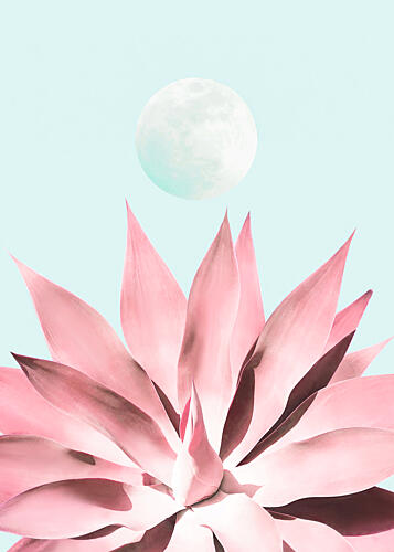 Pink Succulent Moon Art Print