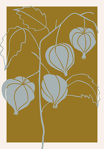 Golden Lantern Plants Art Print