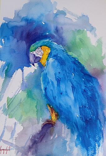 Vibrant Blue Macaw Art Print