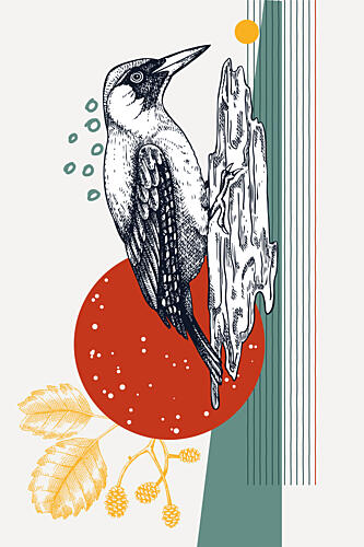 Woodpecker Abstract Nature Art Print