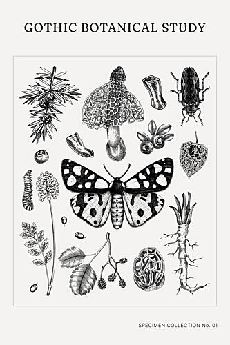 Gothic Botanical Study Art Print