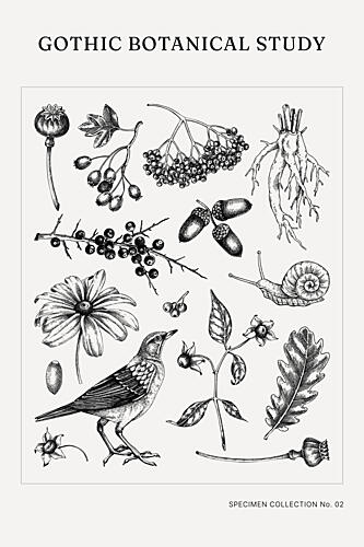 Gothic Botanical Study Art Print