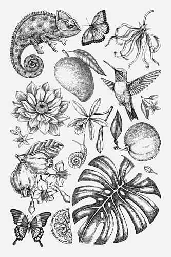 Tropical Nature Drawing Art Print