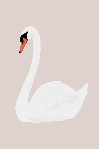 Elegant White Swan Art Print