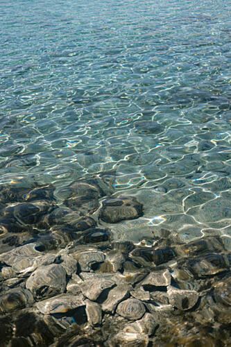 Clear Ocean Shallows Art Print by HelloHappylife
