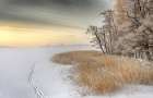 Misty Winter Morning Art Print