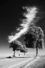 Long White Cloud Art Print
